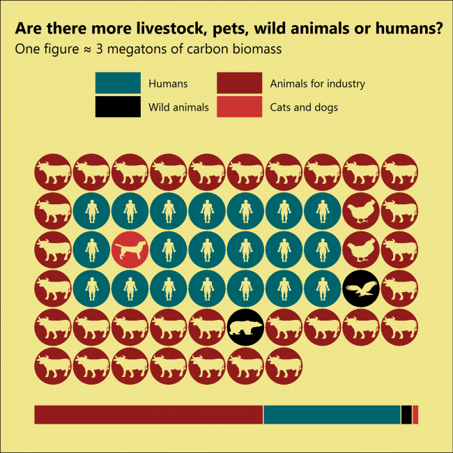 Are there more livestock, pets, wild animals or humans?