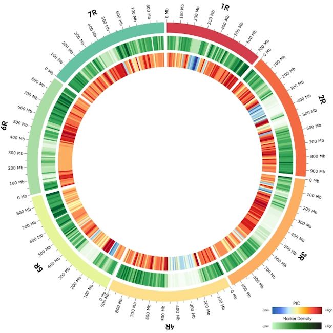 Image - a colourful, circular visualisation.